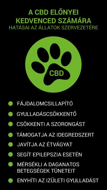 greenpro_banner2_360x640(1)